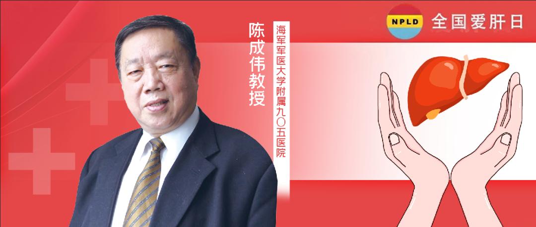 肝病专家陈成伟,陈成伟谈肝损伤