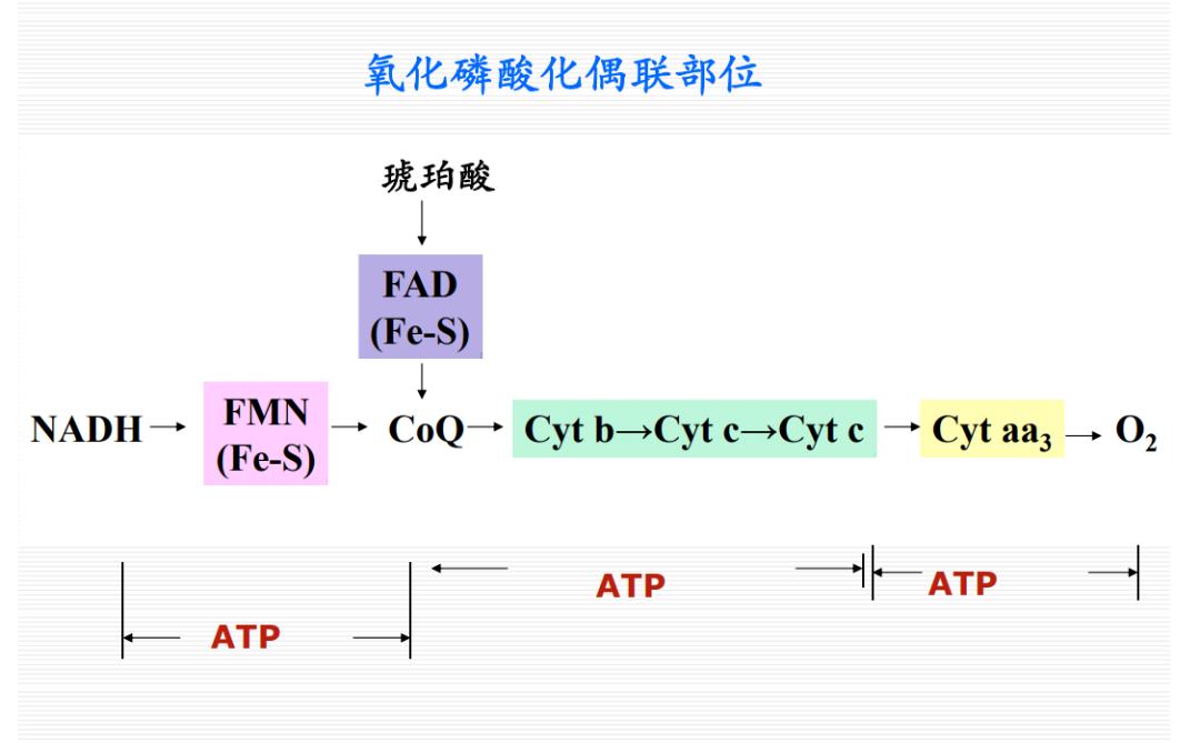 最贵的一瓶护肤品,很昂贵的护肤品