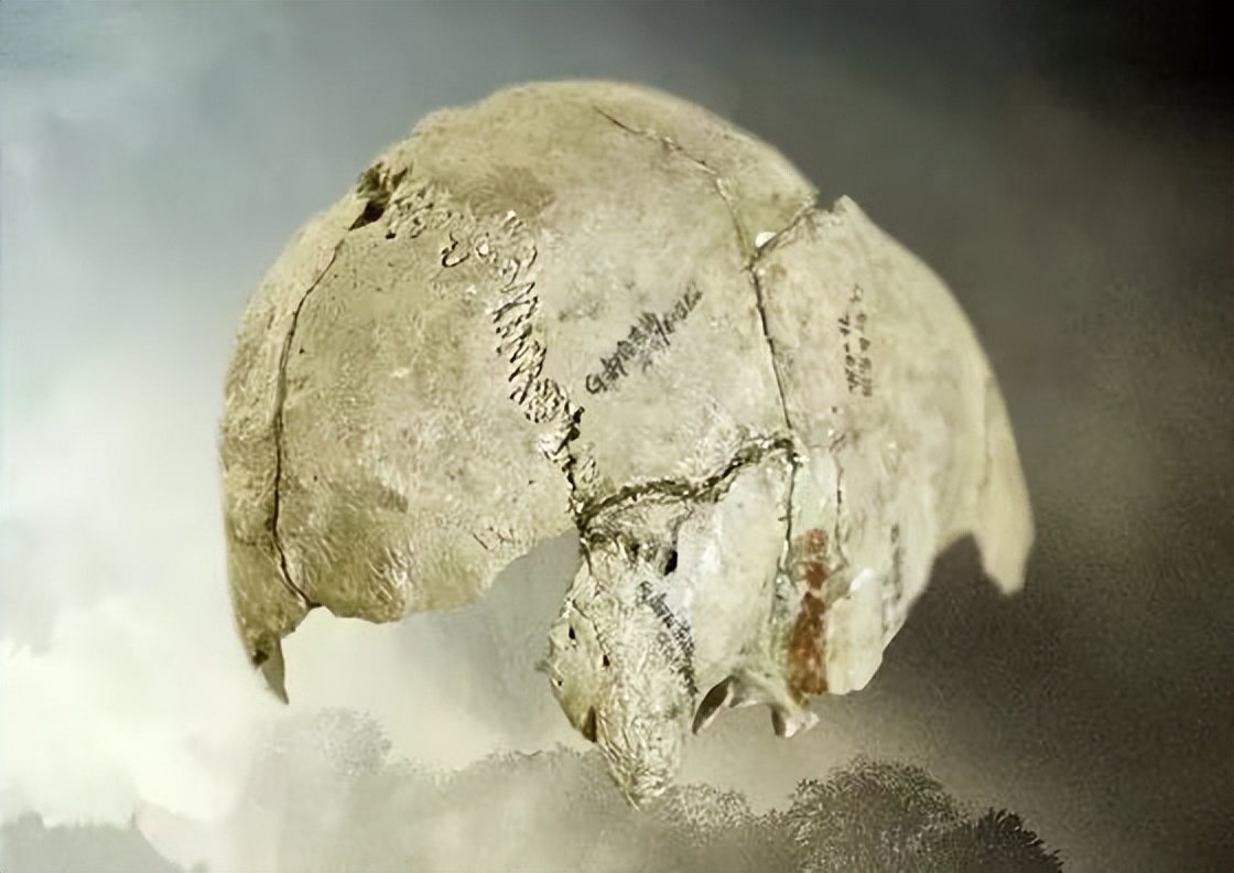 【甘快看】“踢”上热搜的甘肃泾川原来还有这么多“出圈宝藏”!