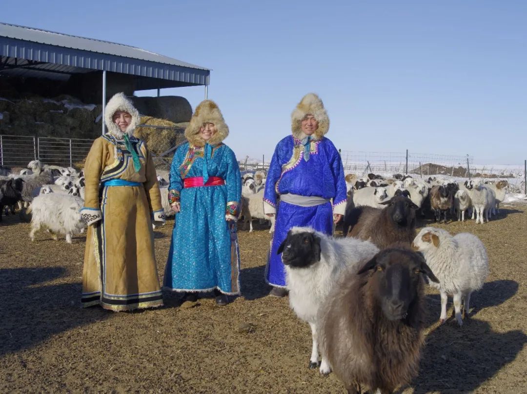 毕业返乡后,这个内蒙姑娘把草原生活拍成了一部千集连续剧