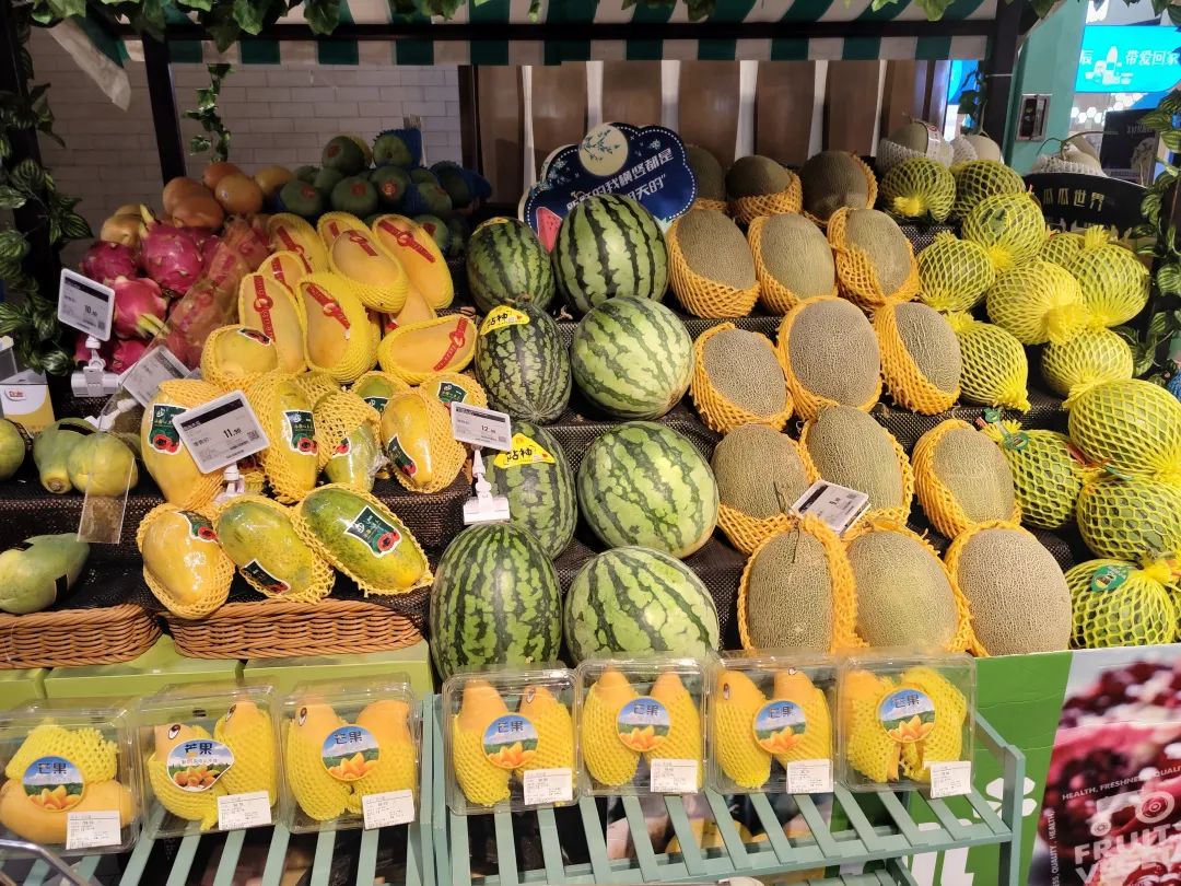 除了灯以外我还能看见什么风景,除了灯以外我还能看到什么