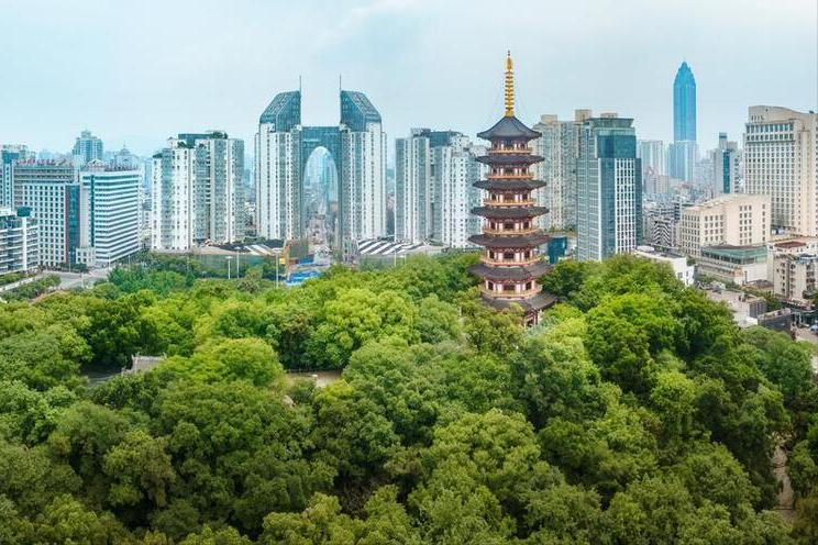 温州的市中心也藏着这样让人惊叹的景色