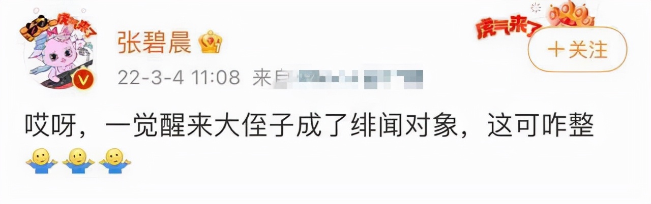 是的，我们有一个孩子，我们各有一个“伴”