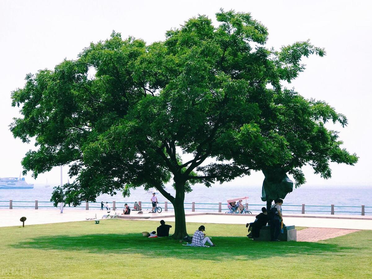 长岭、星火、风动、兰石，你们好吗