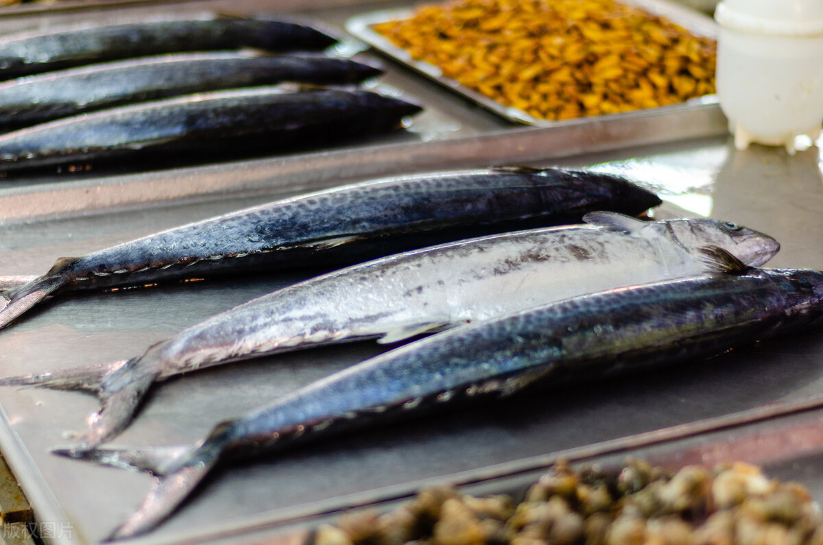 青岛卖文玩的地方在哪儿,青岛文玩市场推荐店有哪些