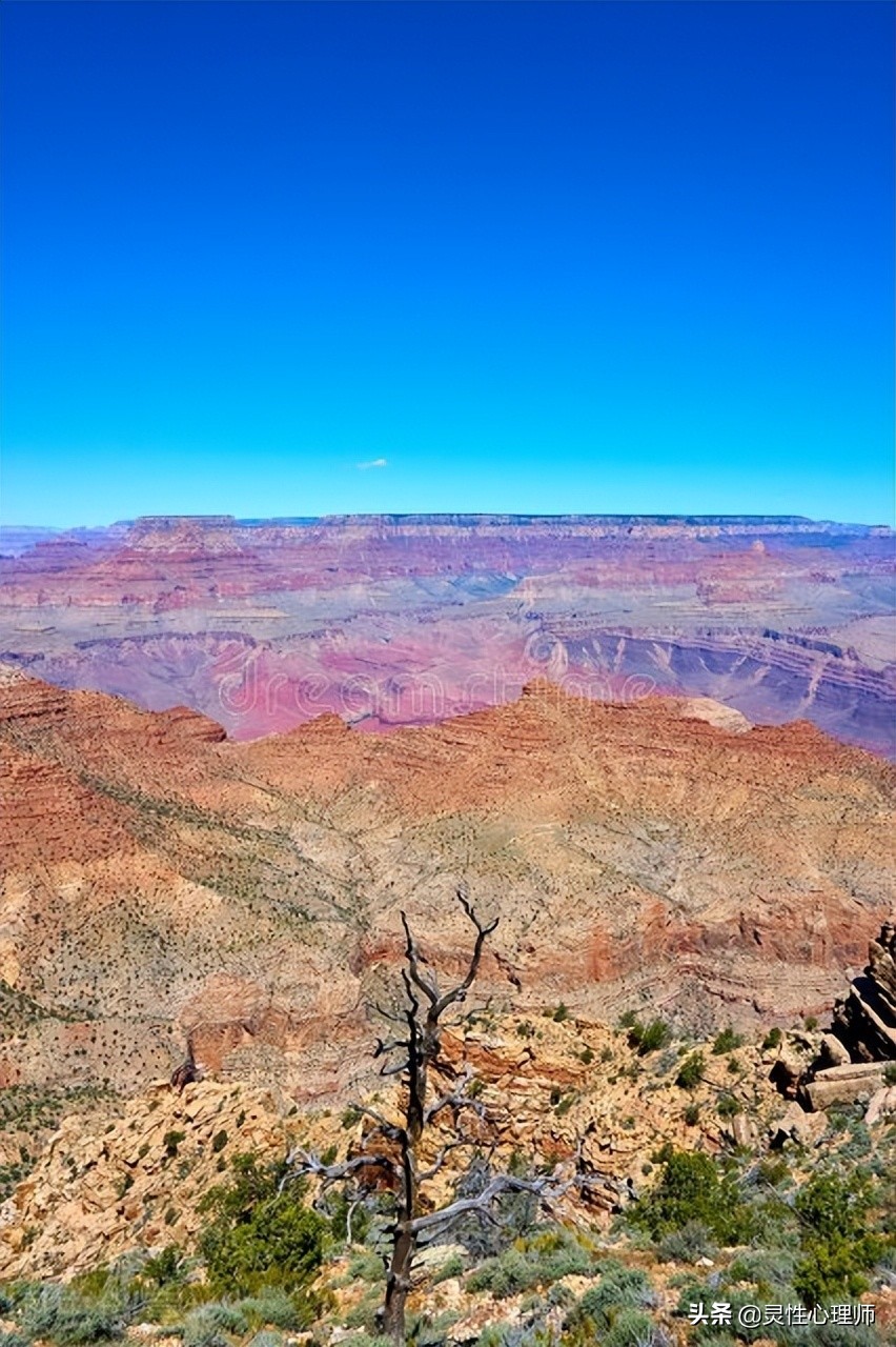 亲人去世我们该做些什么,亲人去世后我们应该做什么