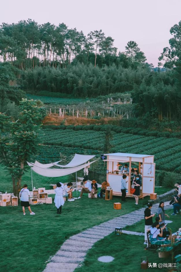 蒲江绿色生态屏障,蒲江县森林资源保护