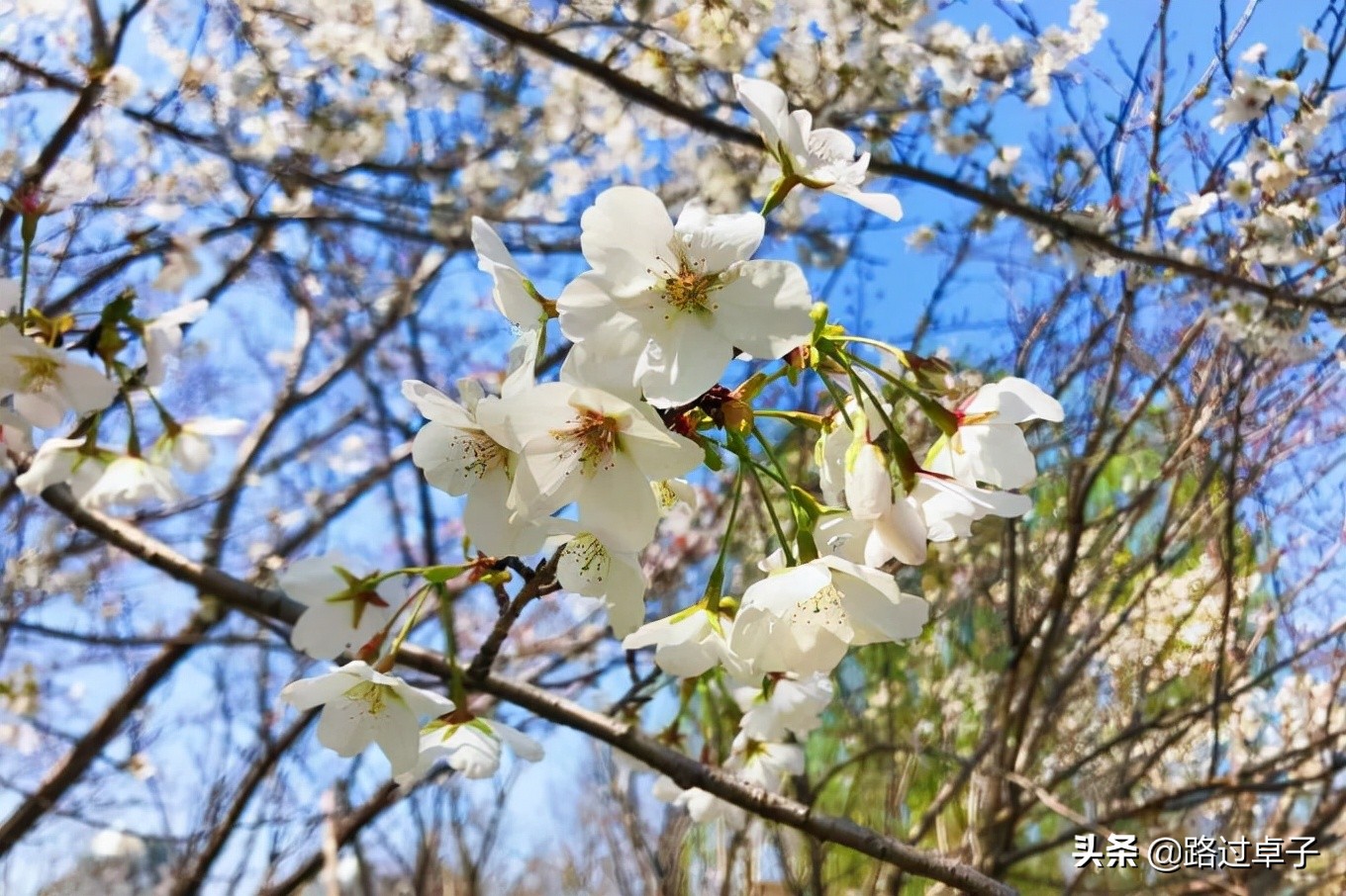 上海地铁旅游景点攻略,上海地铁打卡攻略