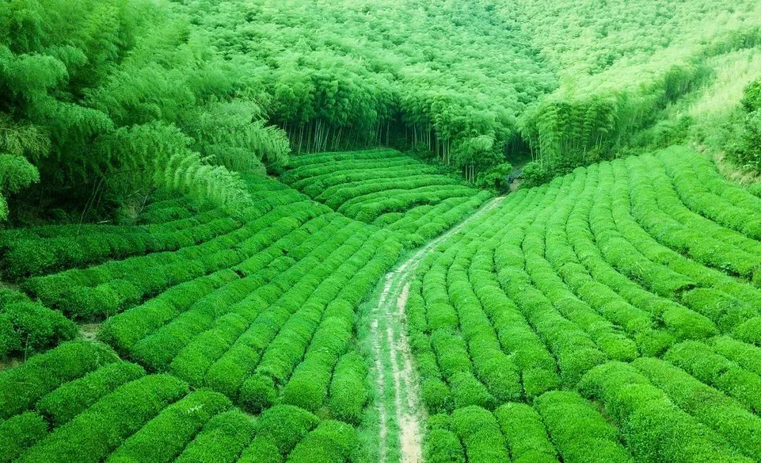 浙江十大徒步古道图片,浙皖十大古道景点介绍图