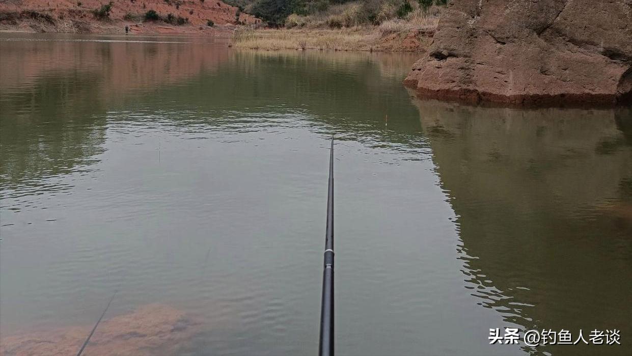 飞德鱼竿的特点,伽玛卡兹鱼竿有什么特点
