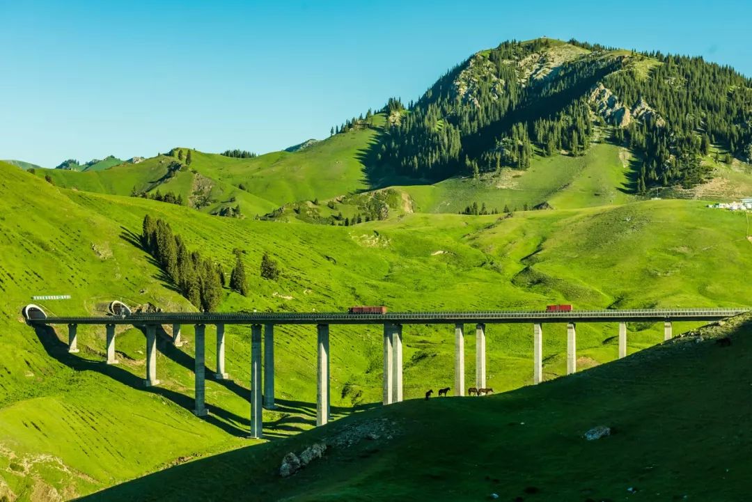 南疆的美又是另一种别样风情,北疆的风景南疆的风情