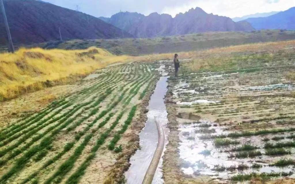 藏诺药业简介,藏诺药业论坛致辞