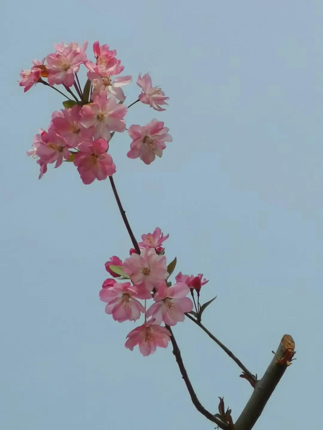 天下奇闻在线阅读,天下奇闻讲解