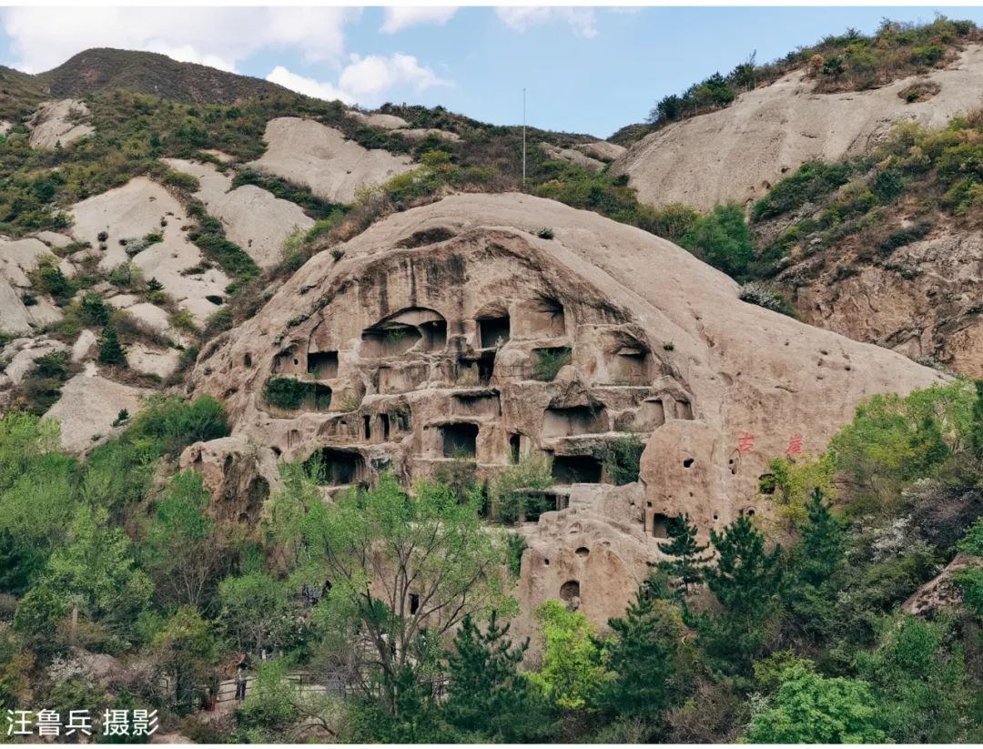 足不出沪也体会假期的快乐,足不出门也能享受大自然的美