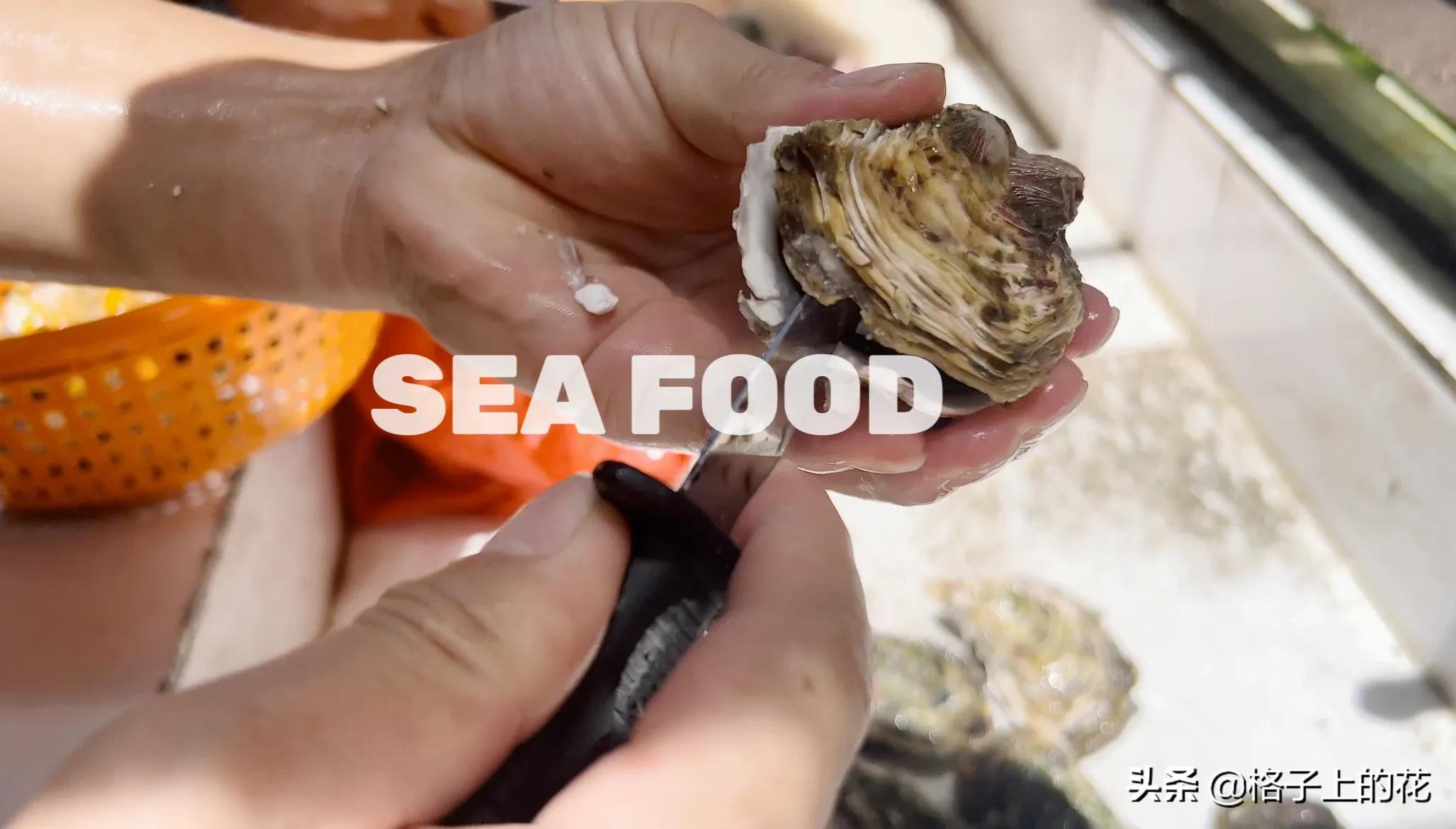 惠州有哪些小渔村好玩,惠州渔村