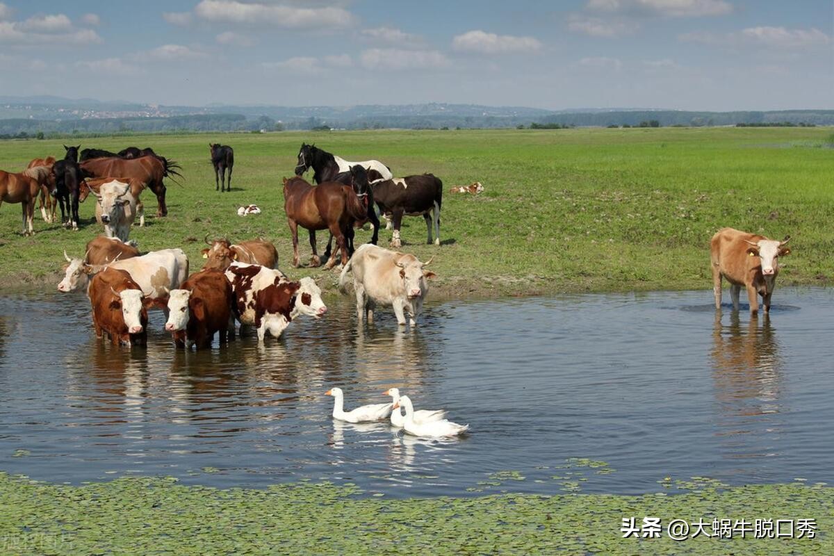 人口出生率危机没转机了吗,人口危机真的来吗