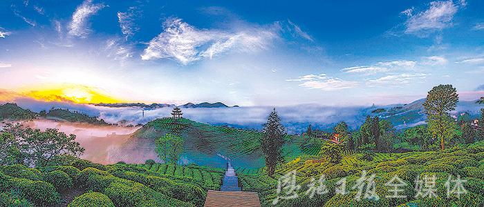 恩施硒茶品牌整合,恩施硒茶功效与作用