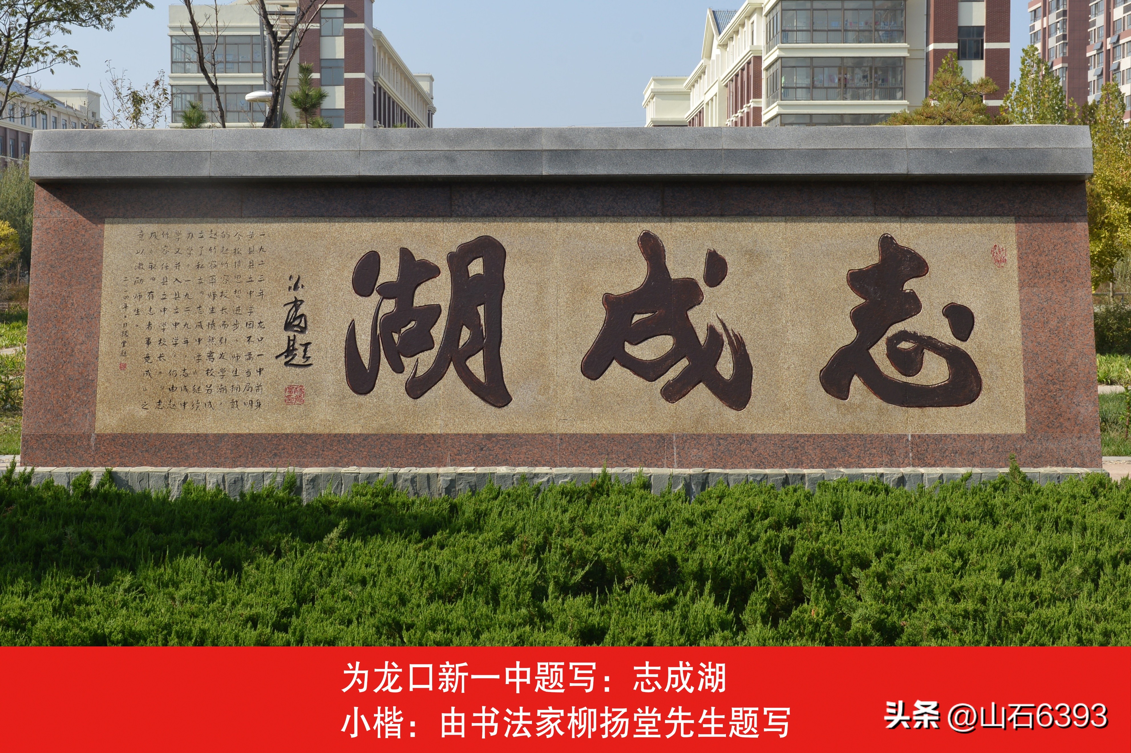 杨德富书法字画作品,杨德富书法家简介