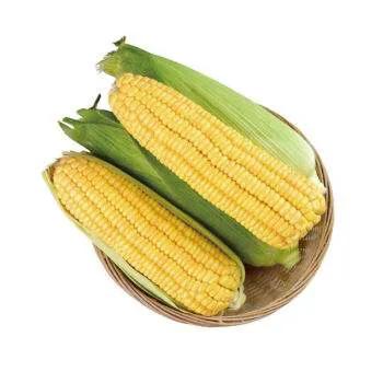 早上减肥吃什么早餐比较好,减肥早餐吃什么比较好食谱