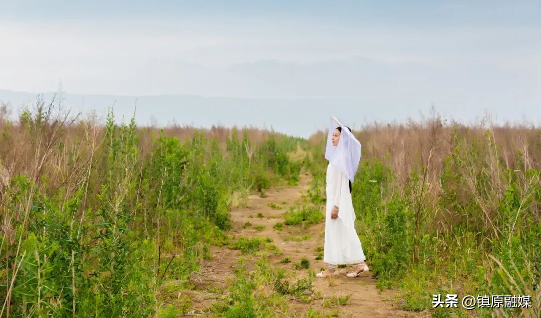 唐僧扫塔为何从下往上扫醍醐灌顶,唐僧扫塔感悟