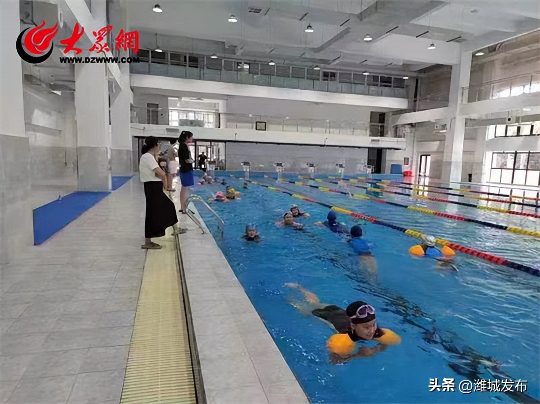 潍坊智群学校游泳,潍城智群游泳培训