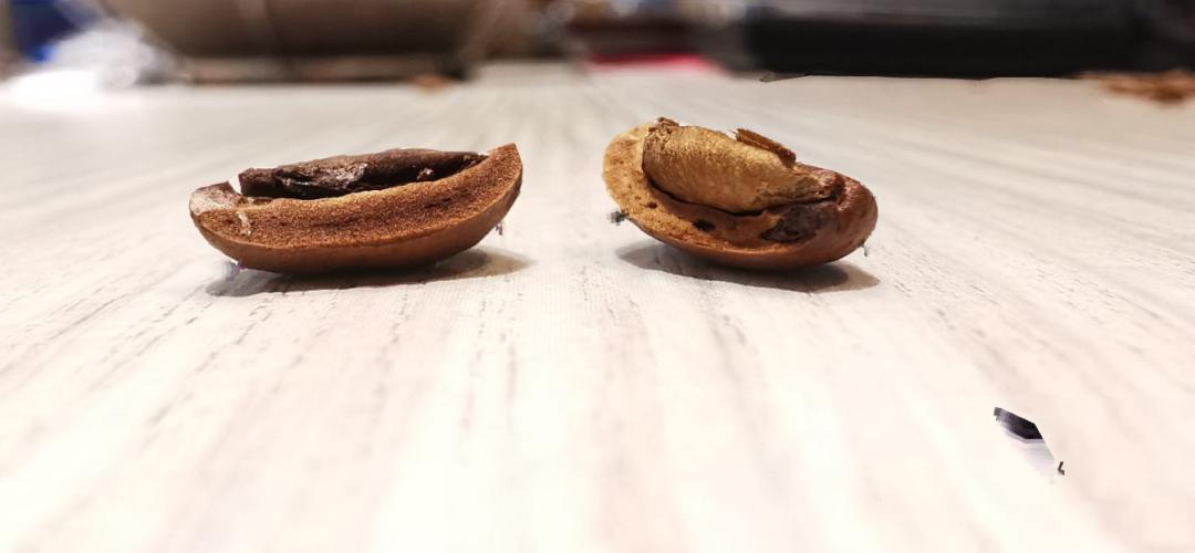 咖啡萃取率的分析,咖啡萃取率例题