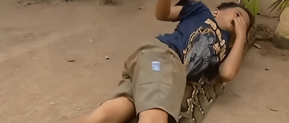 海南报恩巨蟒现况,巨蟒为报恩守护十几年