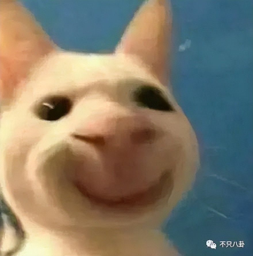 白鹿许凯绯闻什么时候的,许凯和周冬雨有绯闻吗