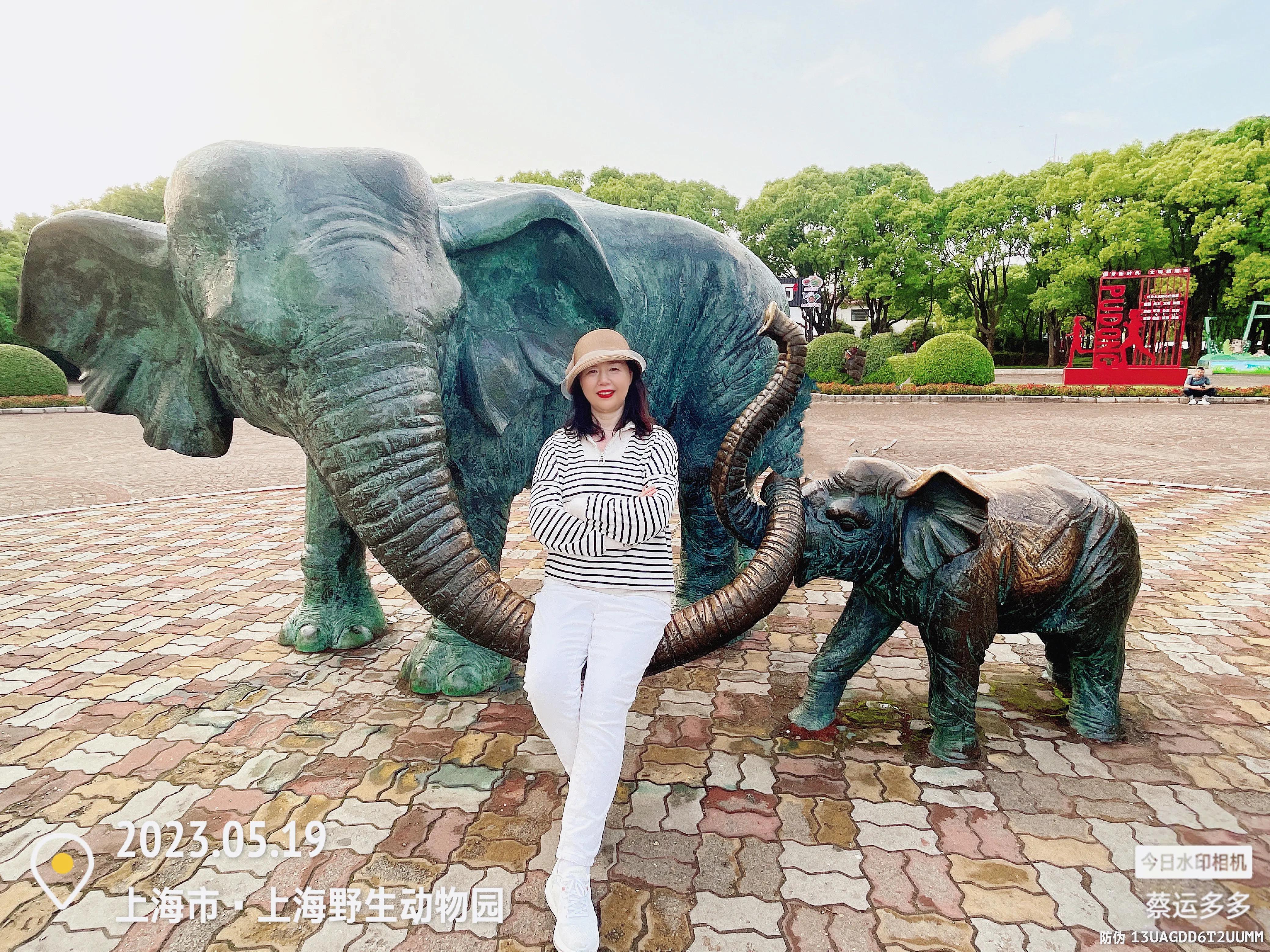 我喜爱的动物是小猫,什么动物招人喜爱