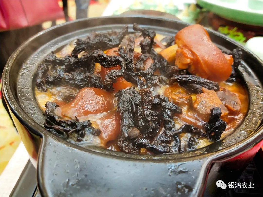 湖南安化黄精新闻,安化黄精优势在哪为何全国认可