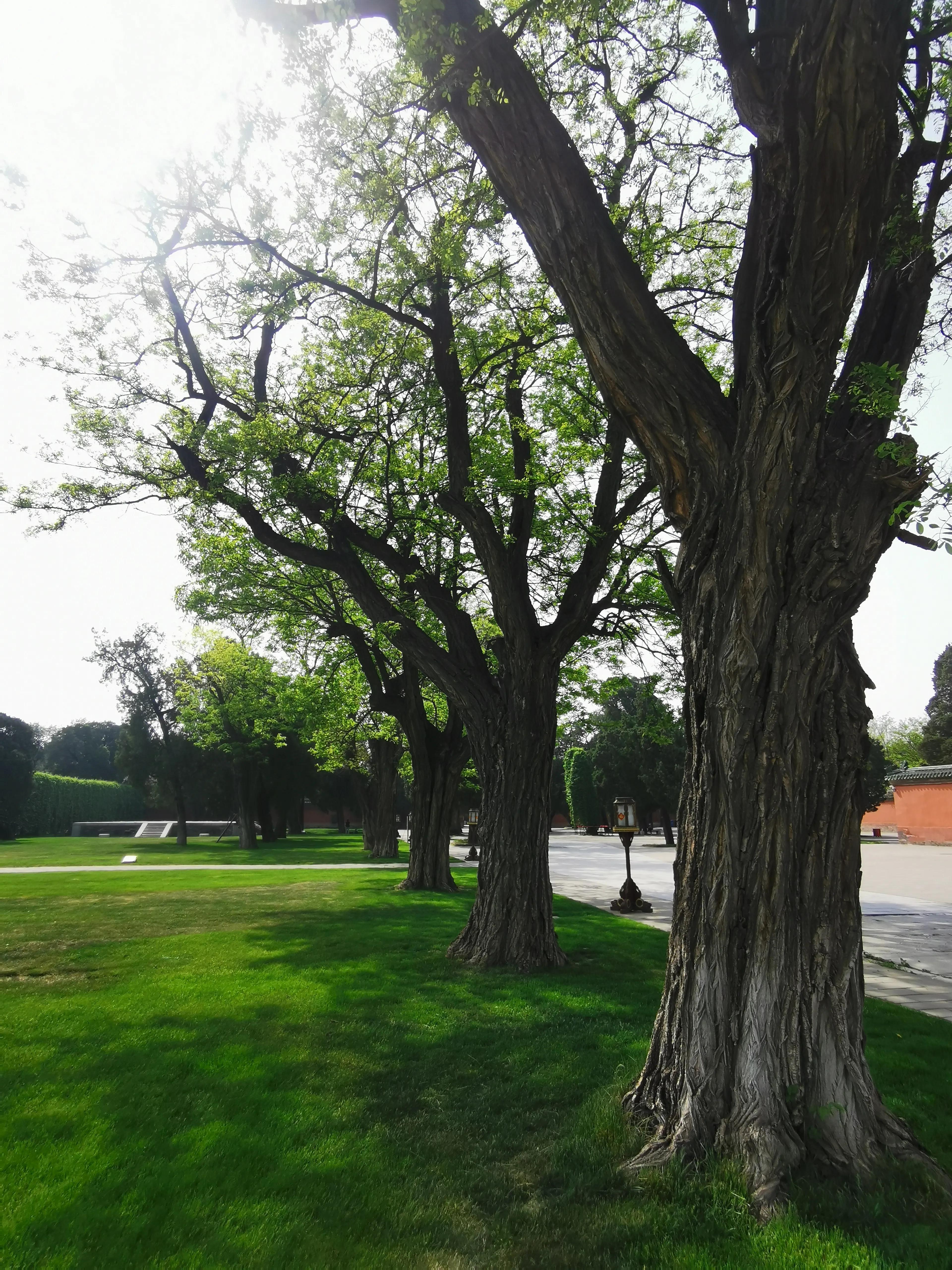 笔游古都「14⑤」游寻京都古迹先农坛拜殿太岁殿