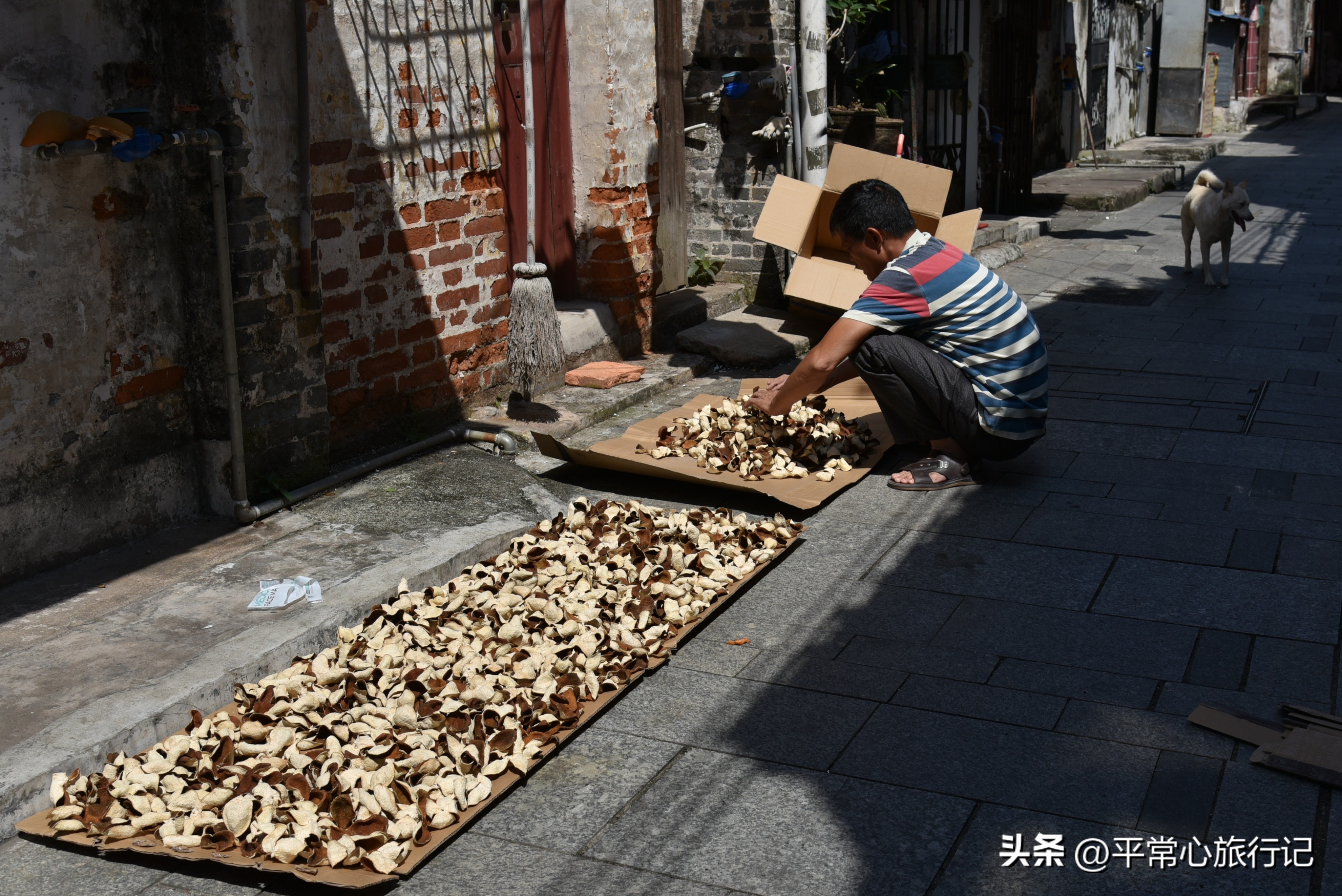 狂飙江门取景地打卡旧厂街,江门三十三墟街景点介绍