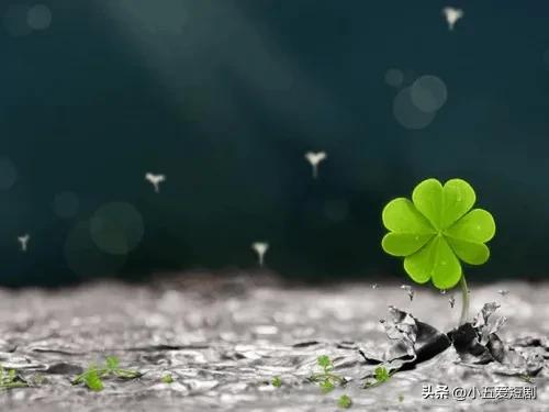 十本必看成功人士书,30部必读的名人传记经典书籍推荐