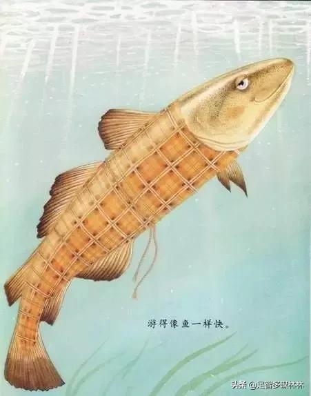 父亲节礼物绘本,绘本推荐我爸爸