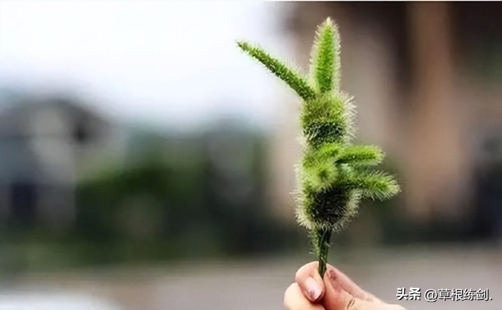 童年中哪些游戏最好玩儿,童年时代想怎么玩就怎么玩