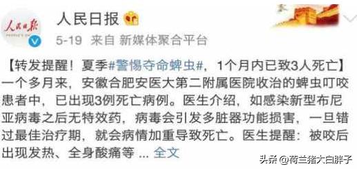 猫咪是如何感染球虫的,猫咪怎么感染蜱虫