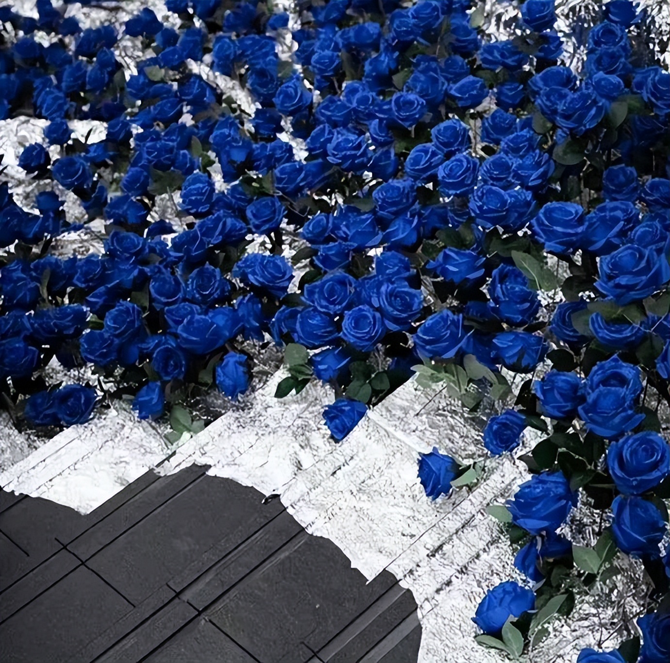 微信朋友圈背景图动态教程,背景图朋友圈高级感简约风