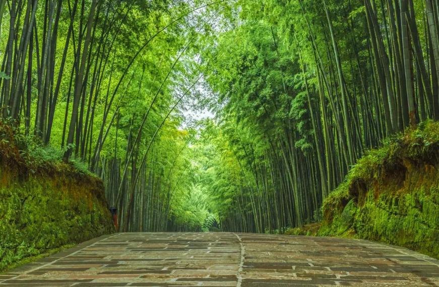 远大抱负且霸气的古诗原创,吟诗作对的经典诗句