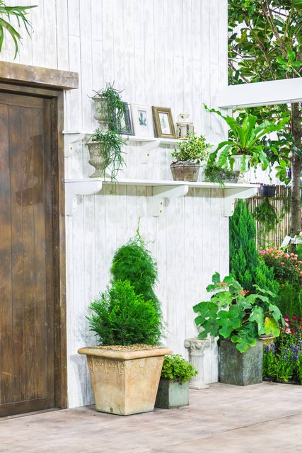 最漂亮的石头花盆,奇形怪异石头花盆