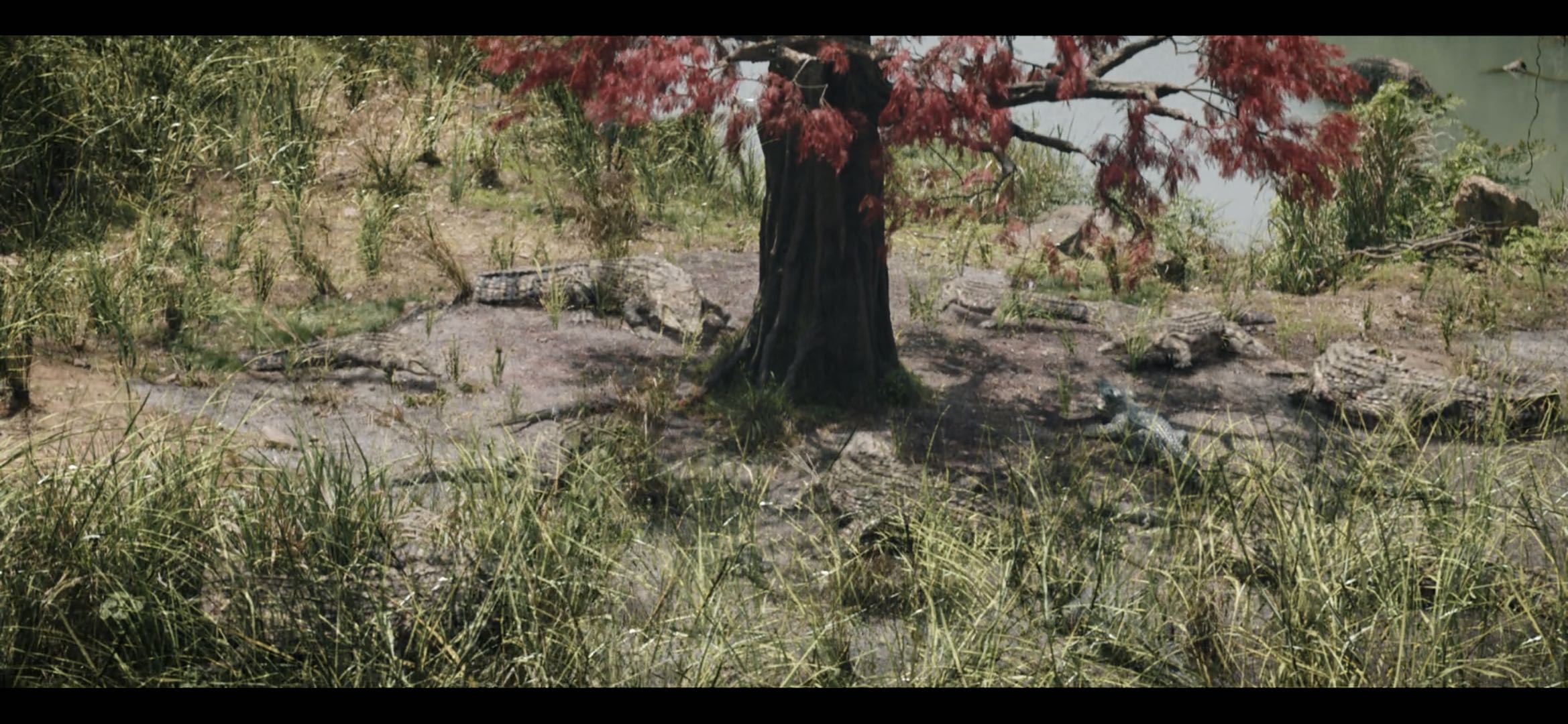 唐朝诡事录什么时候第二季,唐朝诡事录第一季第16集