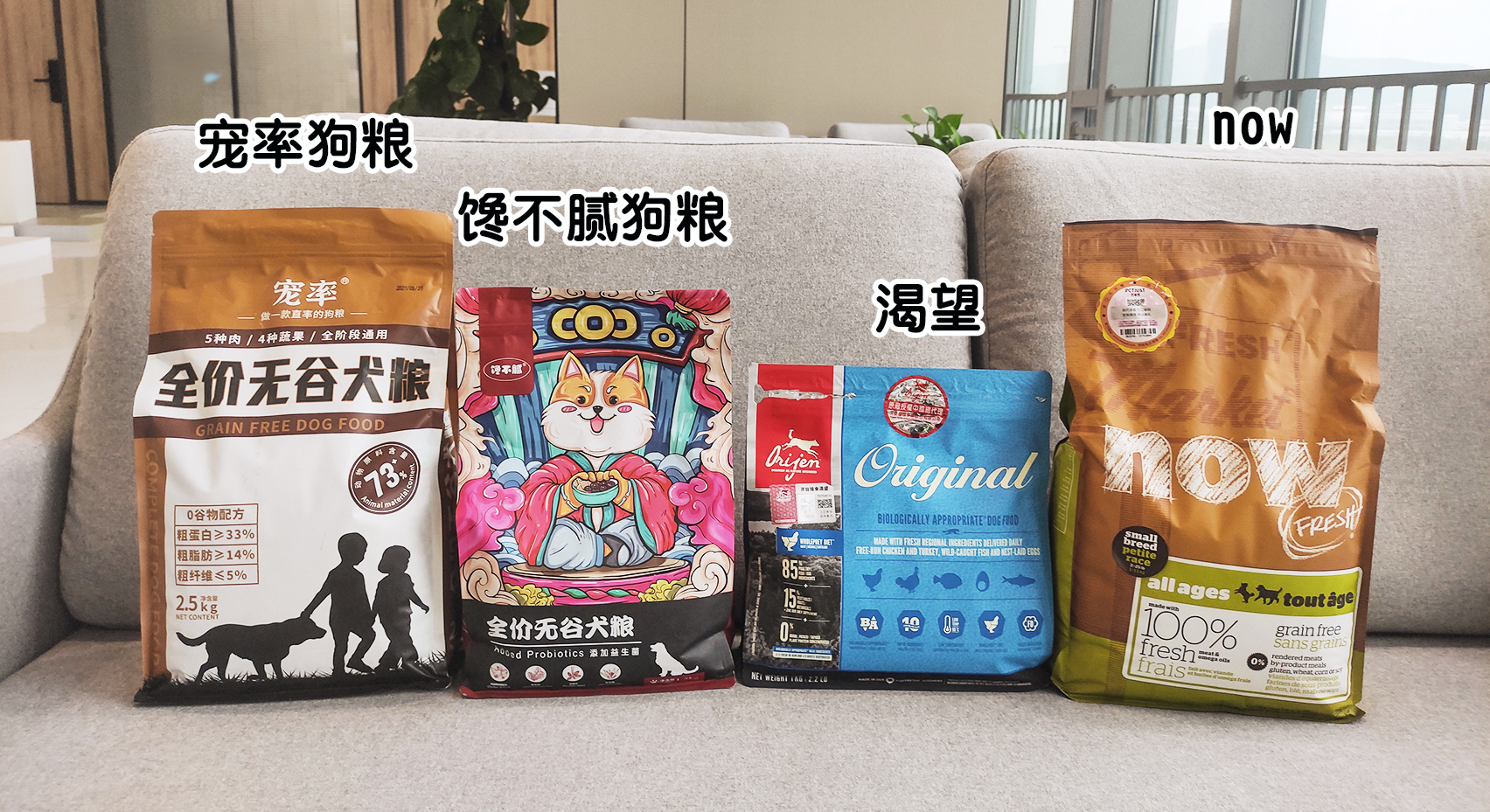 牛头梗为什么少人养,牛头梗这么丑为什么还有人养