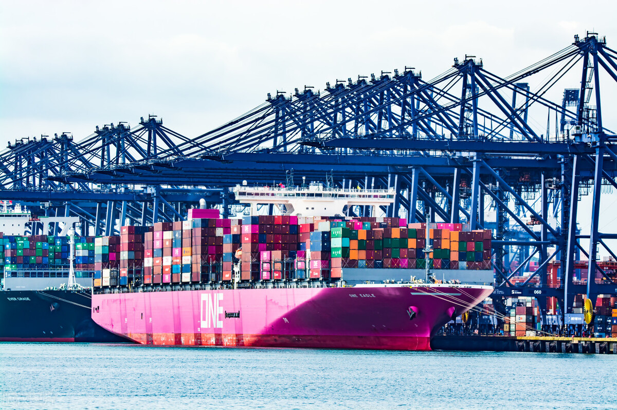 藤壶密集恐惧症,最吓人的藤壶