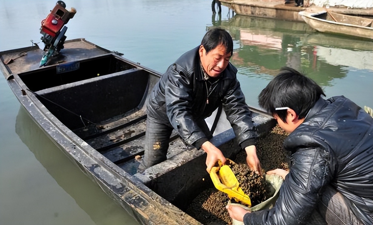 螺蛳列为保护动物还能吃吗,螺蛳真的被列为保护动物了吗