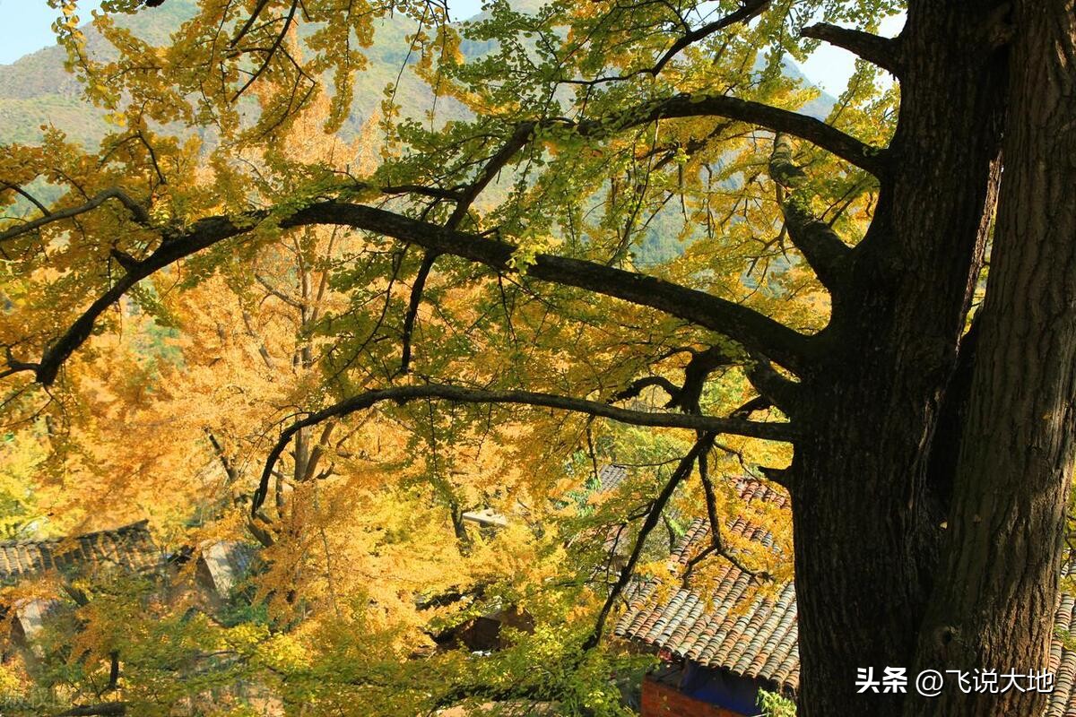 六盘水凉都夏季,凉都夏天六盘水