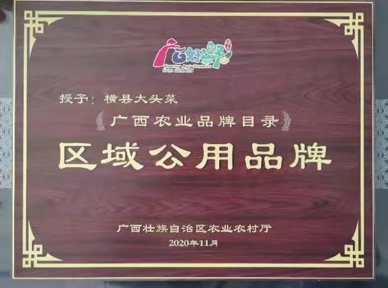 好一朵横州茉莉花搭上“电商快车”走天下