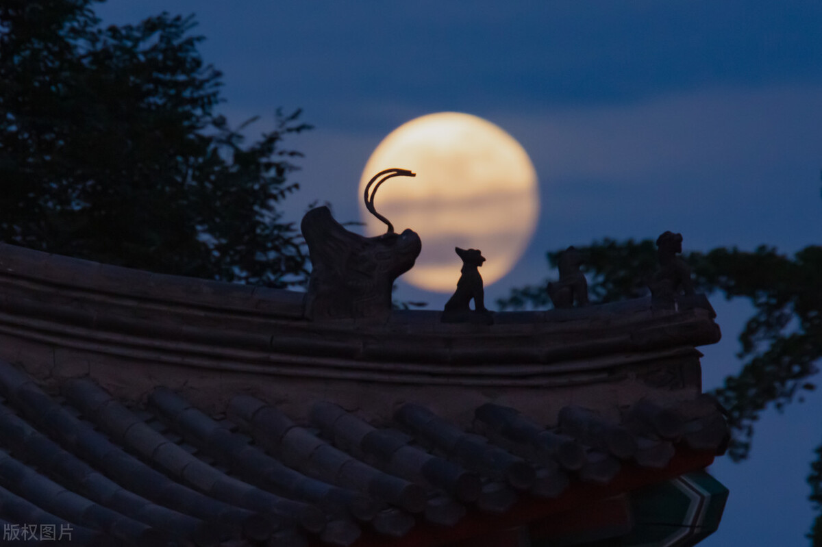 苏轼认为读书能够明智的诗句是,苏轼说读书要反复诵读的诗句