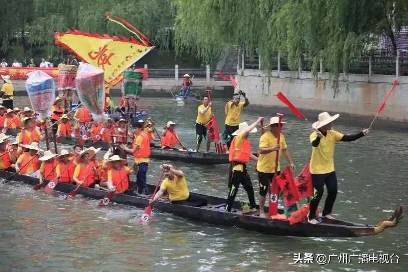 广州多区“睇龙船”超全指南,广东“睇龙船”指南来了