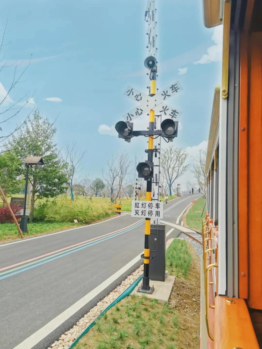 大草坪放风筝,草坪大风筝