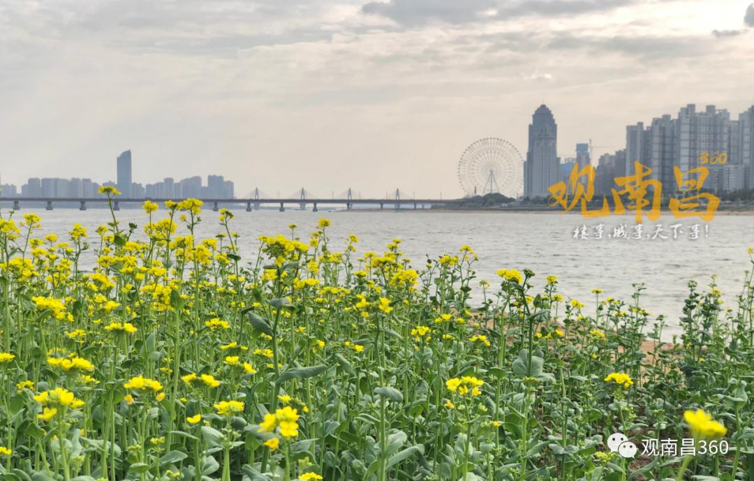 复兴南昌水运交通，秋水广场客运停靠点项目备案，预计2024年完工