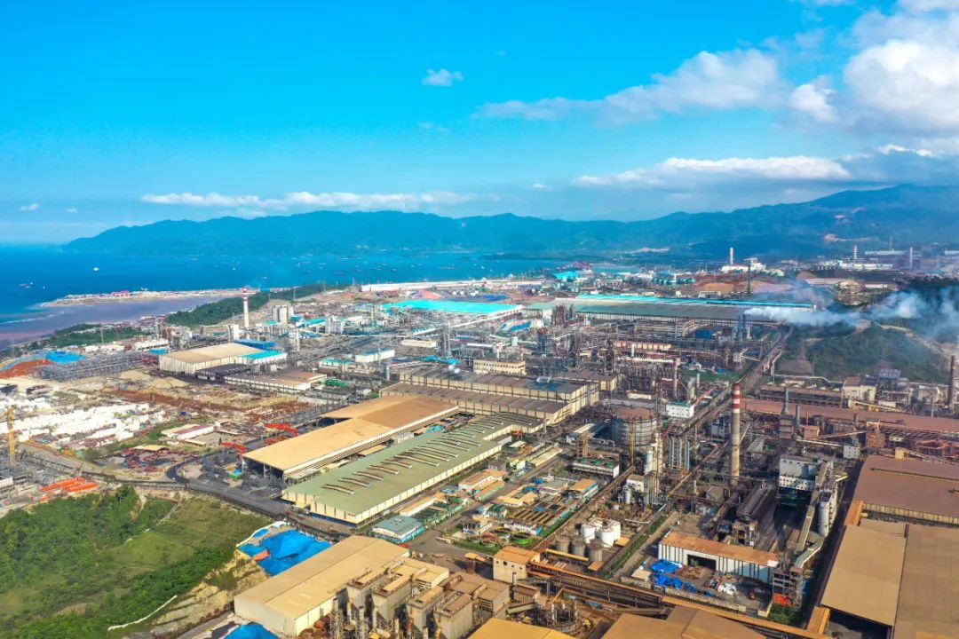 寰烽緳閽㈤搧鑾疯瘎涓浗鏍囨潌鏅鸿兘宸ュ巶,寰烽緳閽㈤搧缁胯壊杞瀷